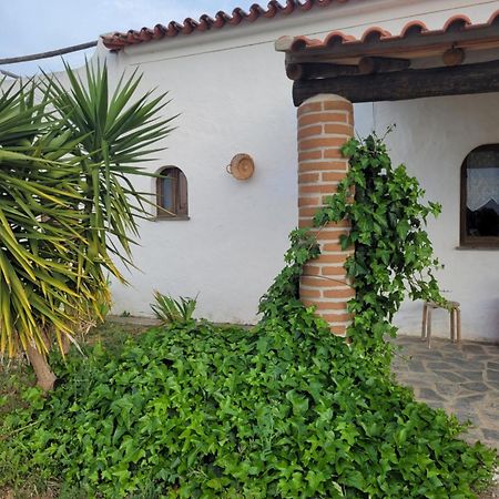 Quinta Da Belavista Villa Reguengos de Monsaraz Eksteriør bilde